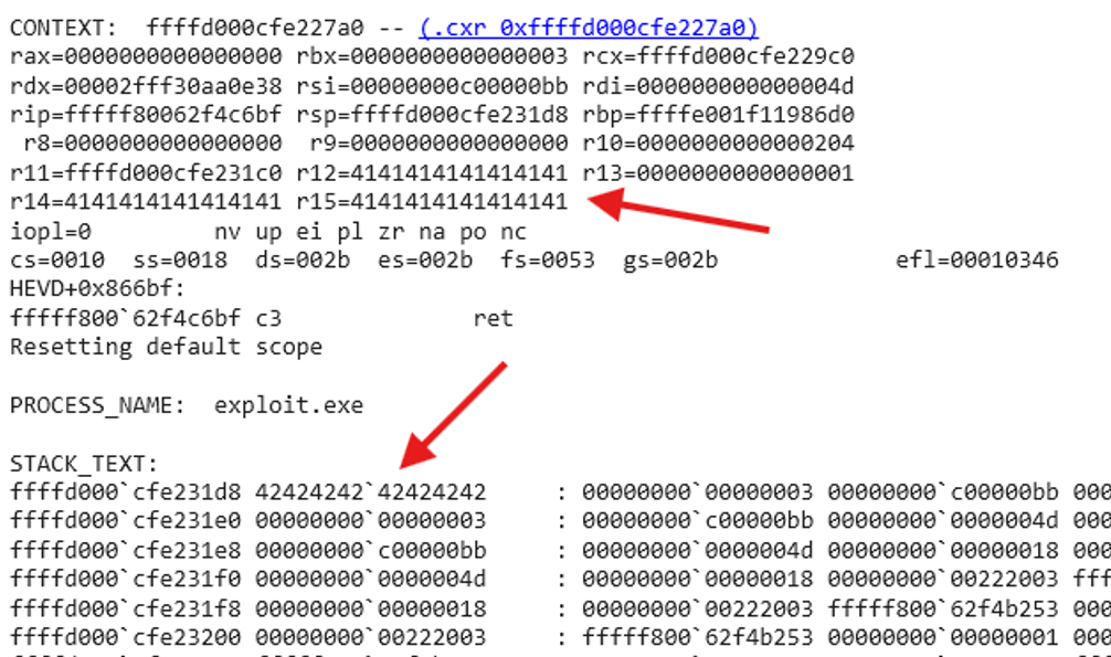 WinDbg Output